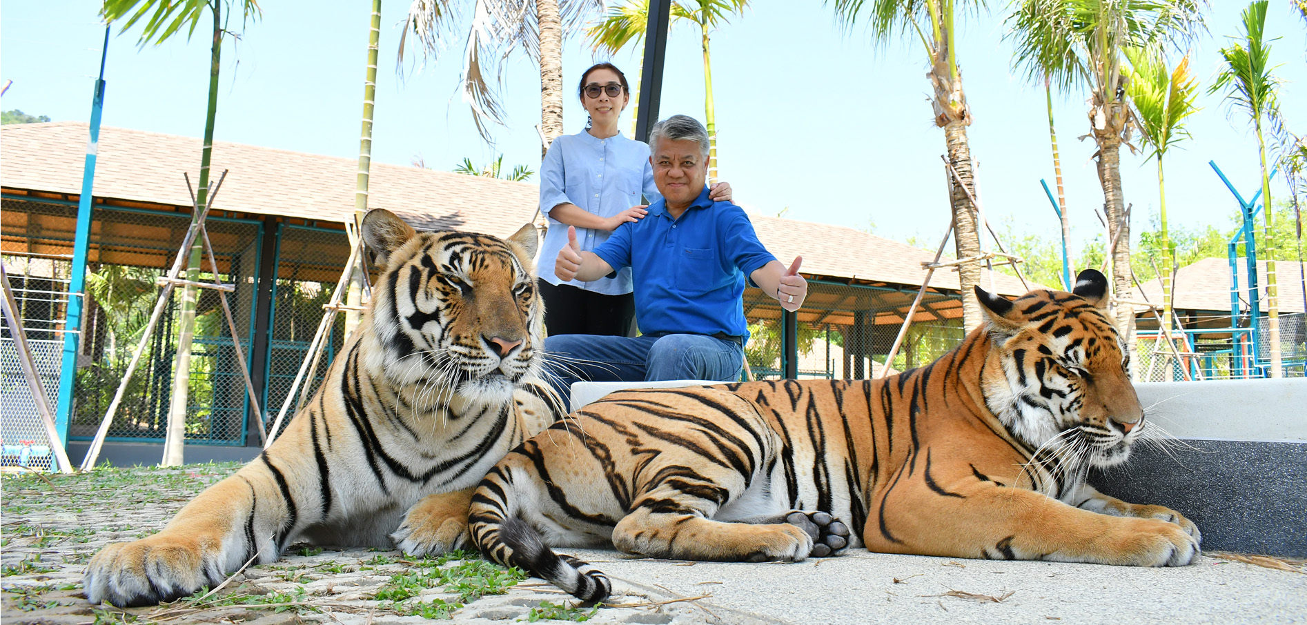 Tiger Park Atmosphere