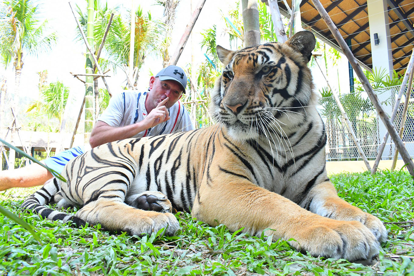 Tiger Park Atmosphere