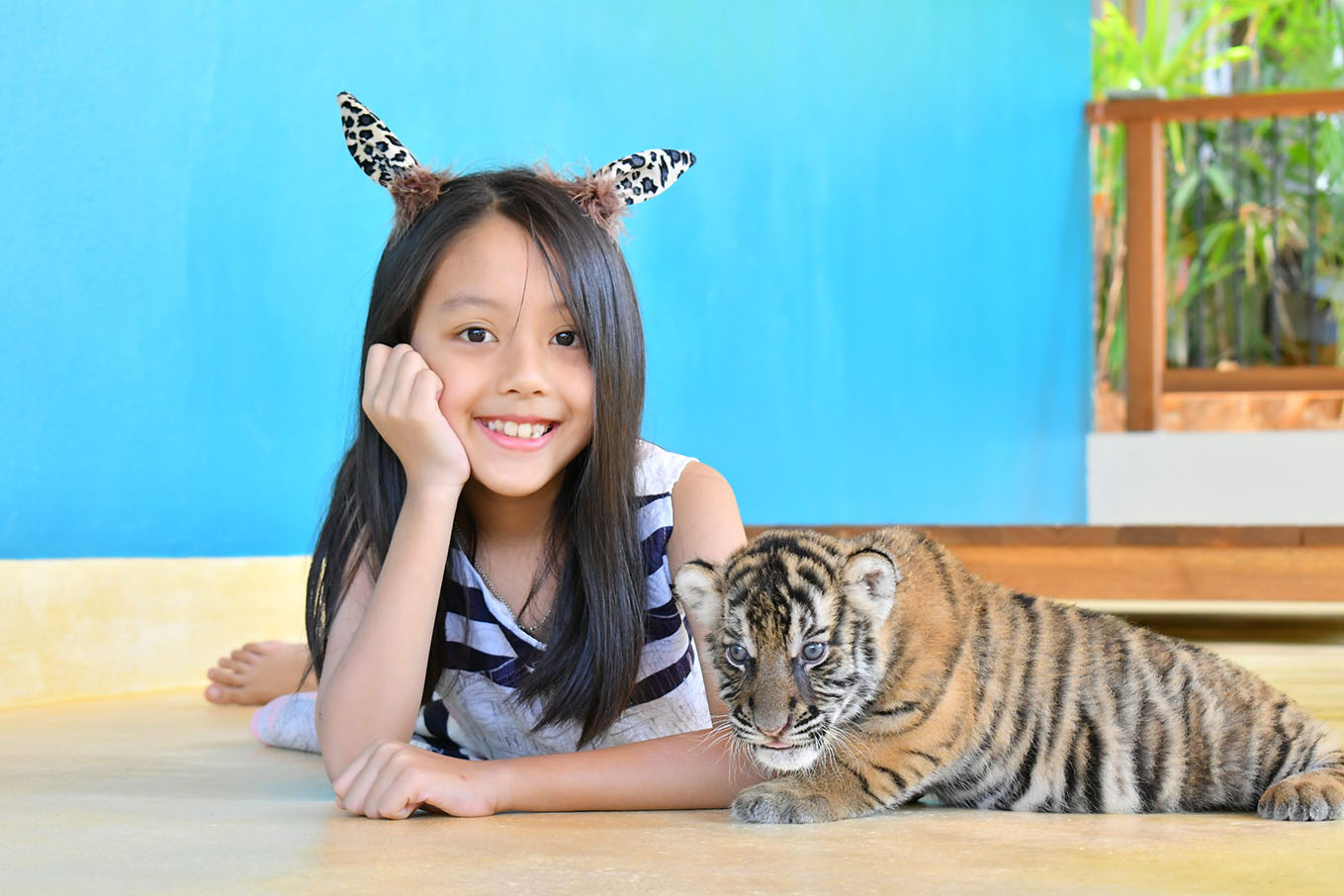 Tiger Park Atmosphere