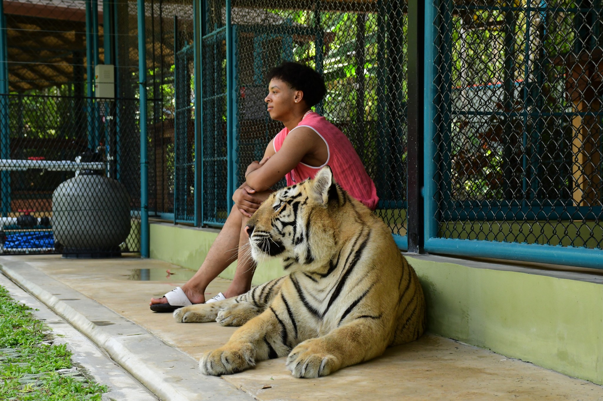 แกลอรี่ รูปภาพ