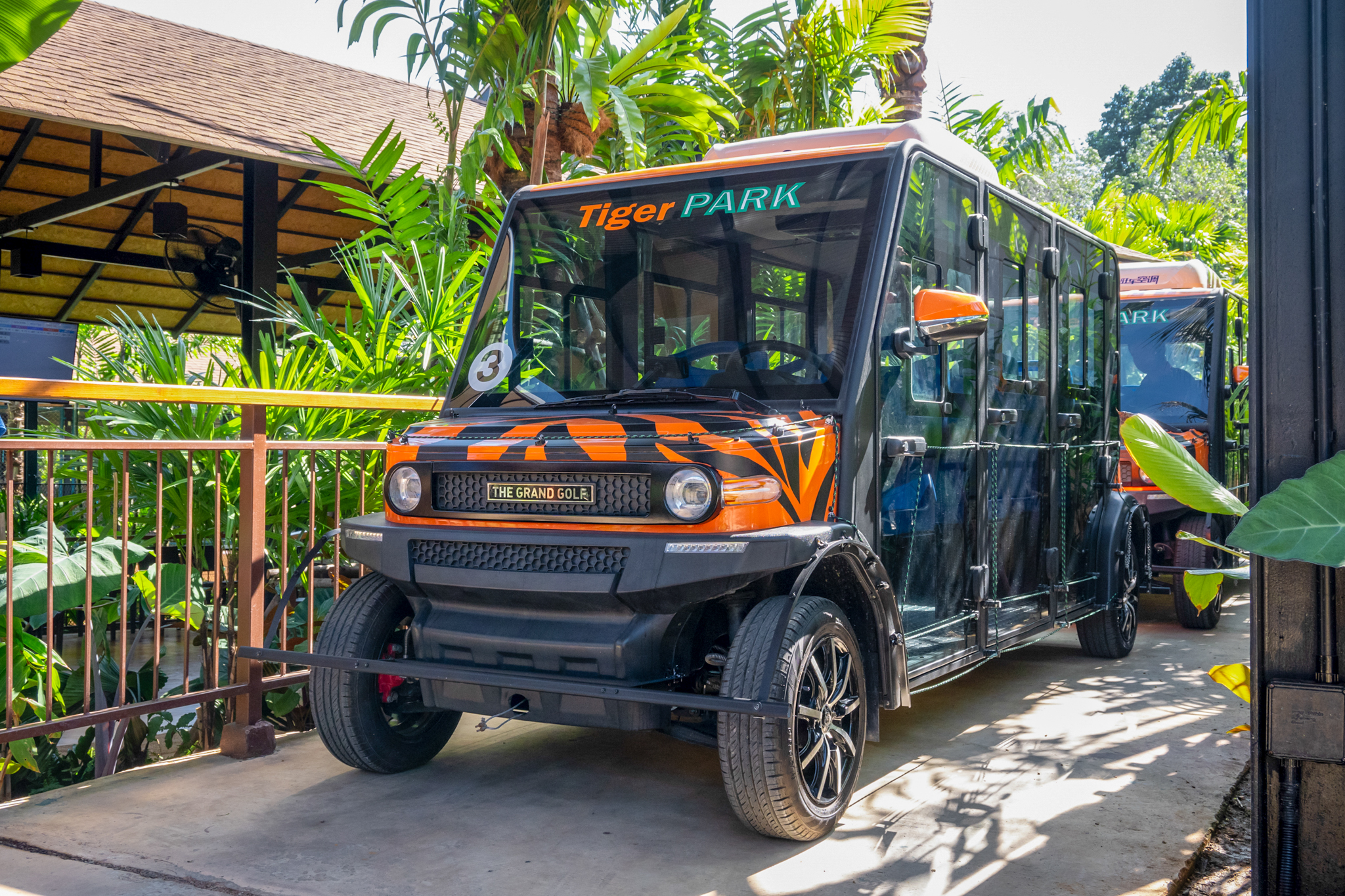 ฟอเรสท์ ซาฟารี