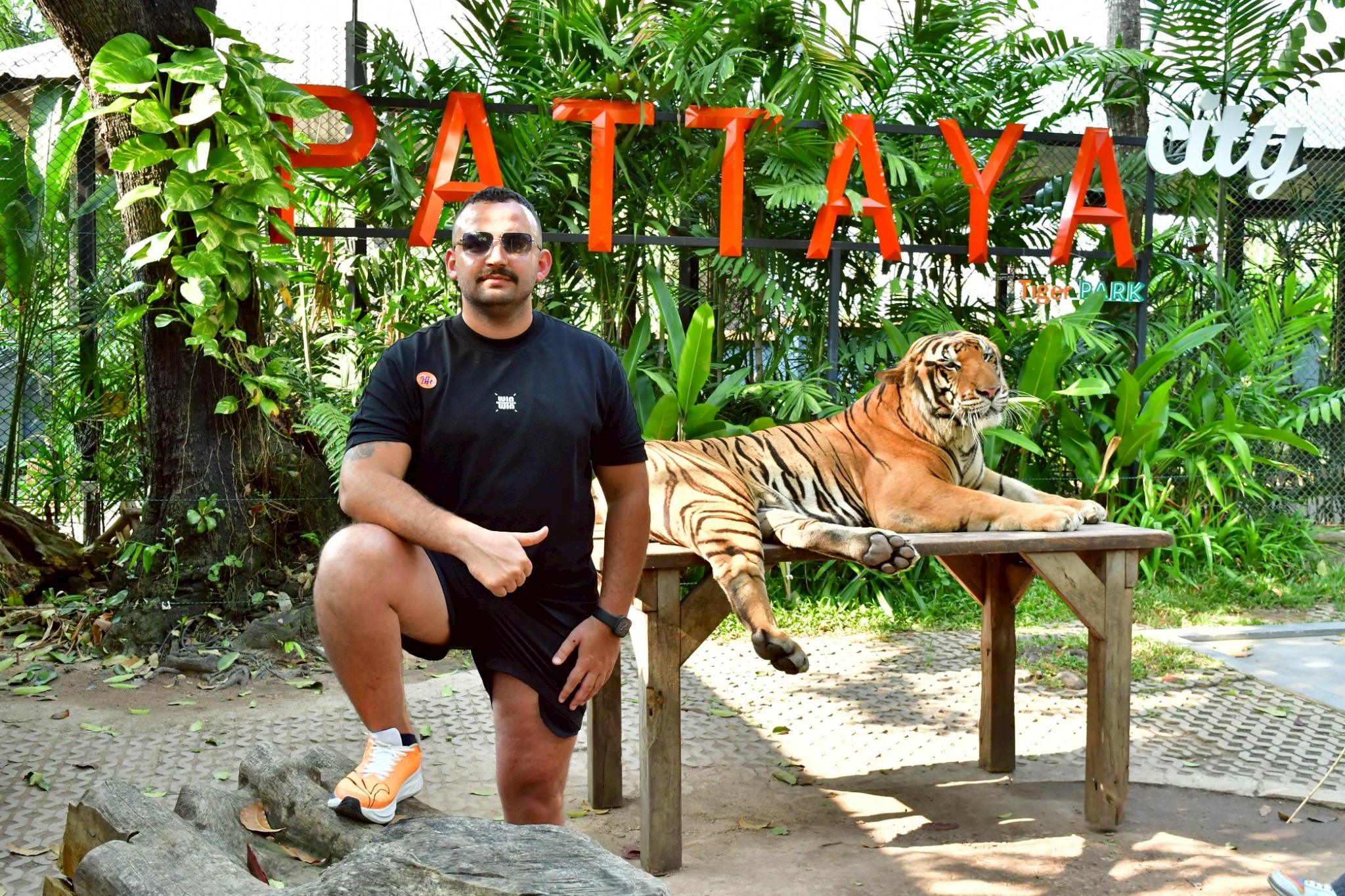 Tiger Gallery Image
